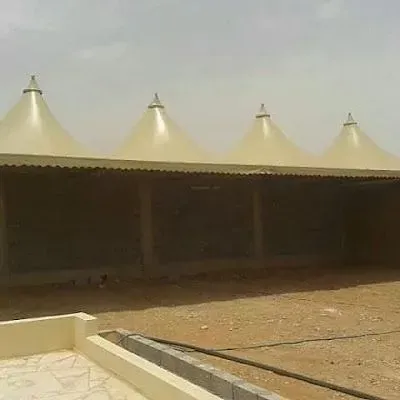 صورة